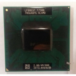 Intel Core 2 Duo Processor T7300 
(4M Cache, 2.00 GHz, 800 MHz) HP compaq 6910p